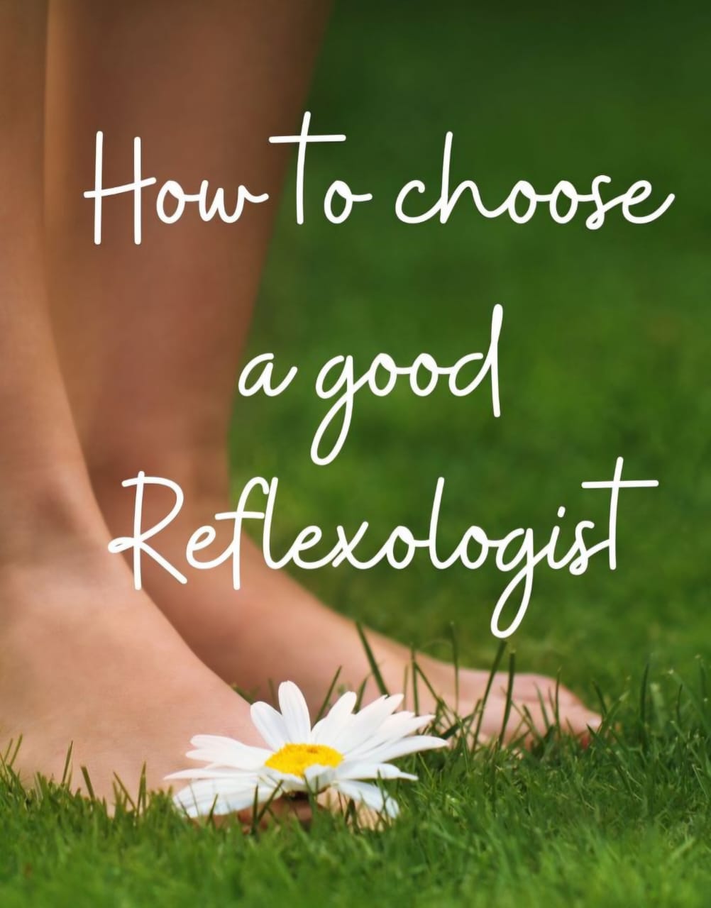 Reflexology Therapy Info